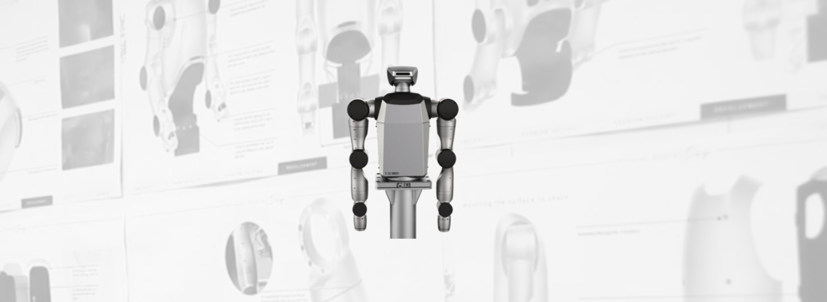 Bimanual Humanoid Robot